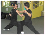 Cha quan Kung fu