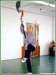 ZhaQuan Kung Fu - Xu Gong Wei