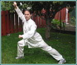 Taming the tiger - Cha quan kung fu Montreal